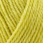 823 Citron
